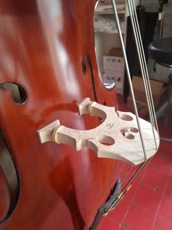 Petz Kontrabass - Hybrid/trelokk 3/4