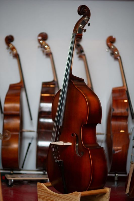 Hora Advanced Carved D'Bass Gamba 3/4 - Matte/Satin