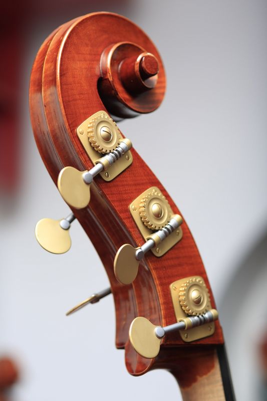 GYL 3/4 kontrabass, 5-strenger