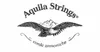 Aquila