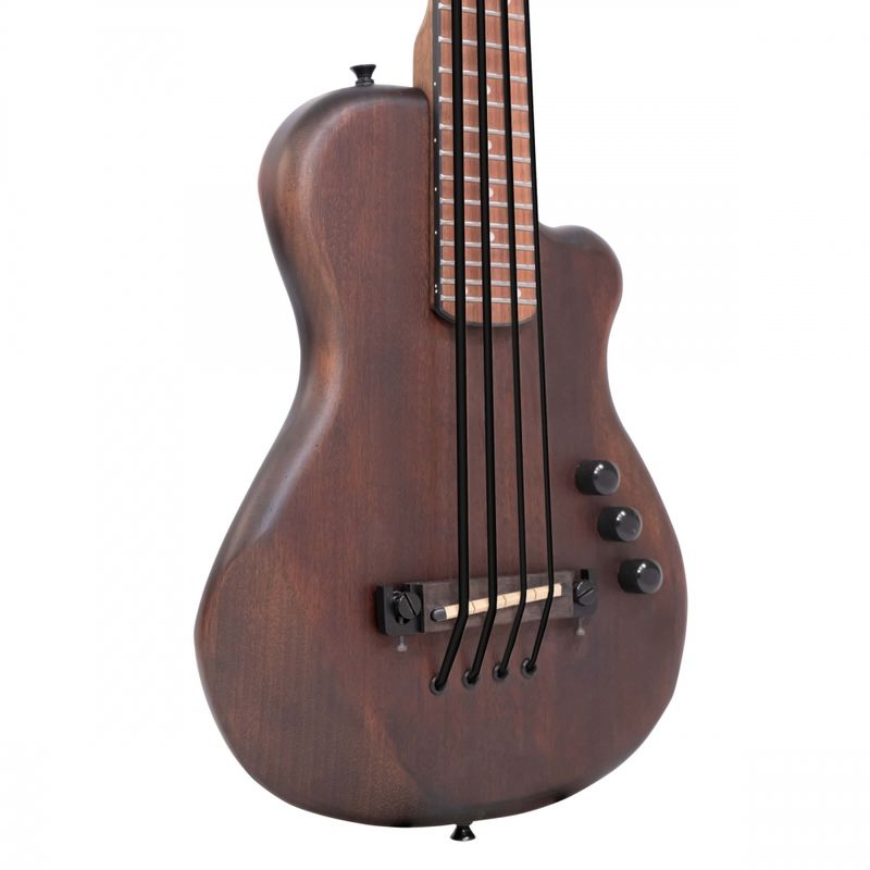 Gold Tone Solid Body MicroElectric Bass